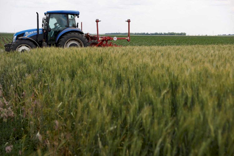 Reunião sobre corredor de grãos da Ucrânia pode acontecer nesta semana