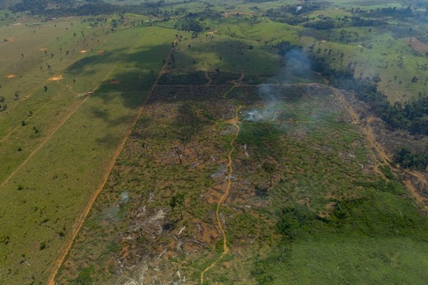 Desmatamento na Amazônia Legal é o maior em 15 anos, aponta pesquisa