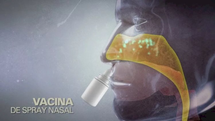 Covid: Testes iniciais de vacina por spray nasal da AstraZeneca/Oxford não atingem proteção desejada