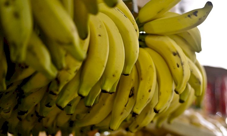 Conab: menor oferta eleva preços de hortaliças e frutas em setembro