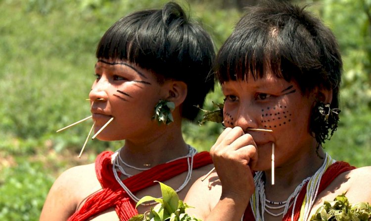 Caminhos da Reportagem mostra efeitos do garimpo na Terra Yanomami