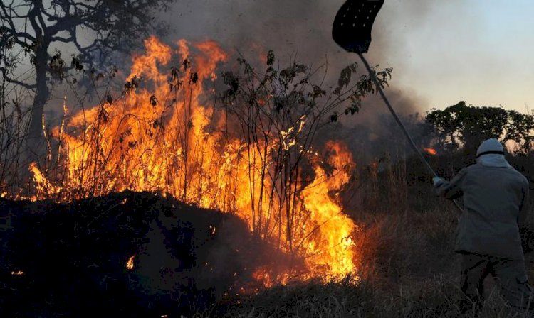 Amazônia concentra 90? área com focos de incêndio no 1º bimestre