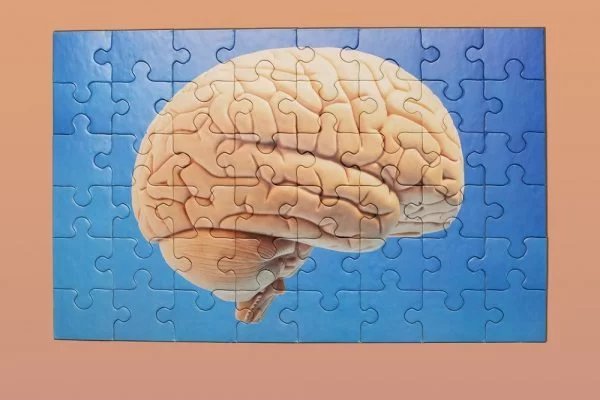 Cientista prevê desenvolvimento de remédio para Alzheimer até 2040