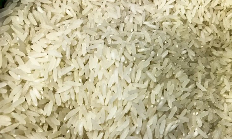 Governo marca leilão de compra de arroz importado para 6 de junho
