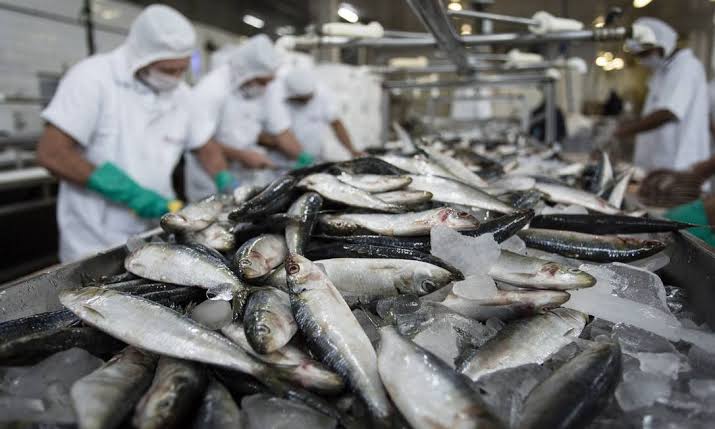 Semana do Pescado incentiva consumo e movimenta comércio em todo o Brasil