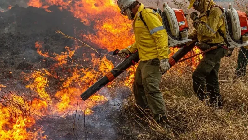 Mais de 500 municípios entram em alerta elevado para incêndios nos próximos meses